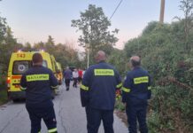 Ωραιόκαστρο: Τροχαίο με τραυματίες στο Μελισσοχώρι, φωτο βίντεο