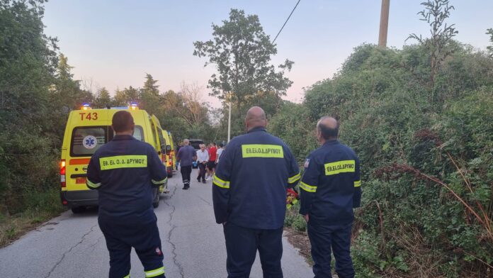 εθελοντικη ομαδα δρυμου