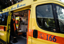 Θεσσαλονίκη: Δεσποζόμενο Πιτ μπουλ επιτέθηκε και τραυμάτισε γυναίκα, ενώ κατασπάραξε το σκυλάκι της