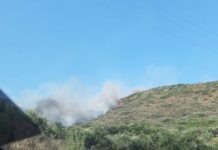 Φωτιά σε εξέλιξη και στην Κορώνη Μεσσηνίας