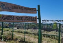 Ωραιόκαστρο: Τι δήλωσε ο εμπνευστής του λαχανόκηπου για την κατάσταση που βρίσκεται σήμερα
