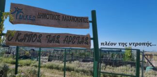 Ωραιόκαστρο: Τι δήλωσε ο εμπνευστής του λαχανόκηπου για την κατάσταση που βρίσκεται σήμερα