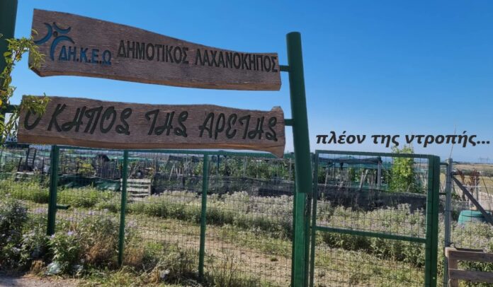 λαχανοκηπως της ντροπης