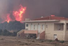 Κ. Μουτζούρης: Εμπρησμός η φωτιά στη Λέσβο