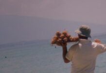 Χαλκιδική: Εξαρθρώθηκε η “μαφία του λουκουμά” – Απόπειρα ανθρωποκτονίας, εκβίαση, εμπορία ανθρώπων