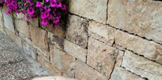 Ωραιόκαστρο: Τριγυρνά σαν χαμένο – Το ψάχνει κάνεις;