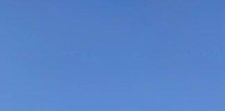 Υπό έλεγχο η φωτιά στο Σέιχ Σου – Συμμετείχε και η Εθ.Ελ.Ο.Δρυμού