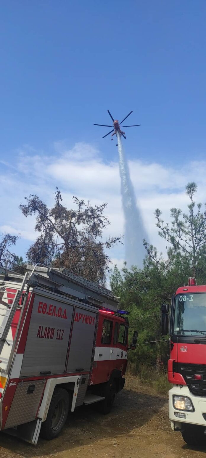 εθελοντικη δρυμου