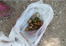Φρικτός θάνατος για δυο σκυλιά, μια γάτα κι έναν σκαντζόχοιρο από δηλητηριασμένα… σύκα