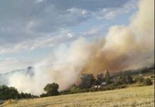 ΤΩΡΑ Μεγάλη φωτιά στο Ωραιόκαστρο Θα γίνει εναέρια ρίψεις νερού