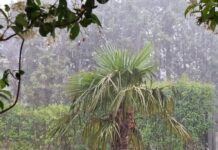 Καιρός: Τοπικές βροχές & καταιγίδες αυτό το ΣΚ – Δείτε αν θα σας βρέξει