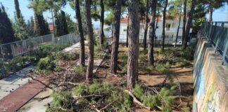 Ωραιόκαστρο: #κατάντια συνέχεια στο 1ο Γυμνάσιο