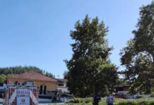 Ωραιόκαστρο: Η στιγμή της απομάκρυνσης της χειροβομβίδας, βίντεο