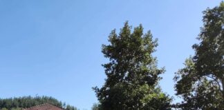 Ωραιόκαστρο: Η στιγμή της απομάκρυνσης της χειροβομβίδας, βίντεο