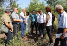 Σ.Δανιηλίδης: «Αν προκληθεί φωτιά στη Θεσσαλονίκη, τα θύματα θα είναι περισσότερα από το Μάτι»