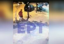 Κτηνωδία στη Θεσσαλονίκη – Άνδρας πάτησε με το πόδι του και σκότωσε γατάκι, βίντεο
