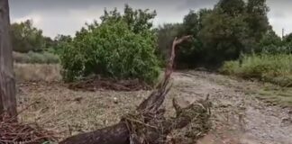 Ωραιόκαστρο: Μεγάλες καταστροφές στην Νεοχωρούδα – Πλημμύρισαν ρέματα, χάθηκαν δρόμοι, βίντεο