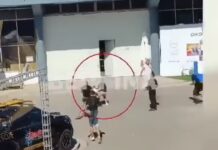 Οπαδικό επεισόδιο το άγριο ξύλο που έπεσε στη ΔΕΘ- 2 συλλήψεις 1 τραυματίας – Η ανακοίνωση της ΕΛ.ΑΣ.