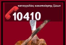 10410: Η τηλεφωνική γραμμή για καταγγελίες κακοποίησης ζώων