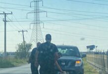 ΤΩΡΑ Ωραιόκαστρο: Τροχαίο με τραυματία οδηγός και αδέσποτο