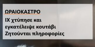 Ωραιόκαστρο: ΙΧ χτύπησε και εγκατέλειψε κουτάβι – Ζητούνται πληροφορίες