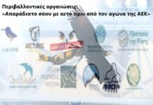 Περιβαλλοντικές οργανώσεις: «Απαράδεκτο σόου με αετό πριν από τον αγώνα της ΑΕΚ»