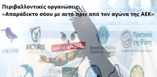 Περιβαλλοντικές οργανώσεις: «Απαράδεκτο σόου με αετό πριν από τον αγώνα της ΑΕΚ»