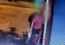 Θεσσαλονίκη: Ελεύθερος ο άνδρας που κατηγορείται ότι ποδοπάτησε γατάκι μέχρι θανάτου