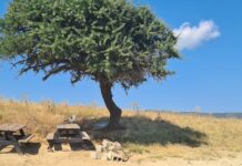 Ο καιρός σήμερα Δευτέρα 19/2