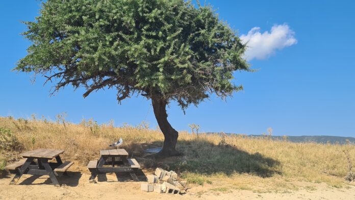 καιρος (2)