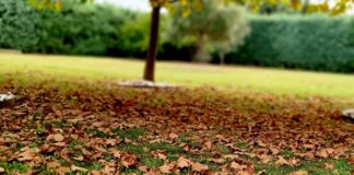 Φθινόπωρο σήμερα: Βροχές και κατα τόπους έντονες καταιγίδες – Αναλυτική πρόγνωση
