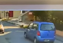 Ταυτοποιήθηκε 58χρονη οδηγός που παρέσυρε και εγκατέλειψε σκύλο στη Γέφυρα Θεσσαλονίκης,βίντεο