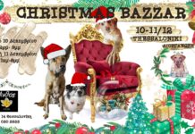 Χριστουγεννιάτικο bazaar από αδέσποτα για αδέσποτα στη Θεσσαλονίκη