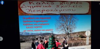 Ανακυκλώσιμο δέντρο κοσμεί τον Κεχρόκαμπο – Μαθητές και εκπαιδευτικοί δημιούργησαν ένα αριστούργημα, φωτο
