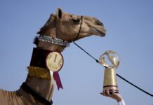 Συναγερμός για τη «γρίπη της καμήλας» μετά το Μουντιάλ-Πιο θανατηφόρα από τη Covid-19