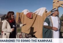 Με Καμήλα, Τσιγαρίδα και Μωμόγερους η δεύτερη ημέρα των Χριστουγέννων,βίντεο