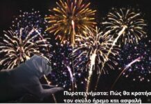 Πυροτεχνήματα: Πώς θα κρατήσετε τον σκύλο ήρεμο και ασφαλή