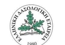 Ε.Δ.Ε. : Έντονος προβληματισμός για το αστικό πράσινο της Θεσσαλονίκης
