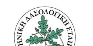 Ε.Δ.Ε. : Έντονος προβληματισμός για το αστικό πράσινο της Θεσσαλονίκης