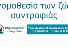 Έχεις σκύλο; Γνωρίζεις τις υποχρεώσεις σου; Μάθε για τα πρόστιμα