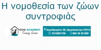 Έχεις σκύλο; Γνωρίζεις τις υποχρεώσεις σου; Μάθε για τα πρόστιμα