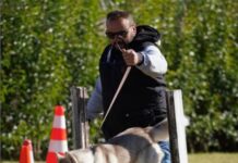 Πόση σημαντική είναι η εκτόνωση του σκύλου; – Ένας πιστοποιημένος εκπαιδευτής μας απαντά