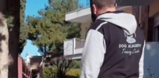 Τι να κάνω όταν ο σκύλος μου δεν είναι ήρεμος στη βόλτα; – Ένας πιστοποιημένος εκπαιδευτής μας απαντά