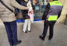 Θεσσαλονίκη: Έπεσαν πρόστιμα για δεσποζόμενα ζώα
