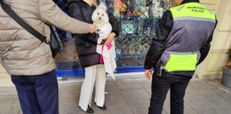Θεσσαλονίκη: Έπεσαν πρόστιμα για δεσποζόμενα ζώα