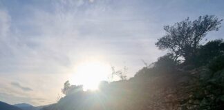 Καιρός: Με ανοιξιάτικη διάθεση ξεκινάει η νέα εβδομάδα