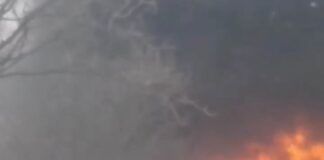 ΤΩΡΑ Φωτιά σε λεωφορείο μέσα στα κοιμητήρια Ευόσμου
