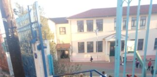Αγέλη αδέσποτων έξω και μέσα σε δημοτικό σχολείο του Ωραιοκάστρου