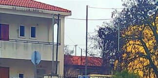 Ωραιόκαστρο: Με “απαγορευτικά δεντράκια” κλείνουν οι λακκούβες, φωτο