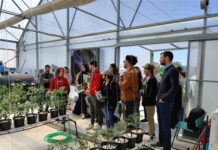 Στη Θέρμη το μοναδικό ενεργειακά αυτόνομο θερμοκήπιο με φωτοβολταϊκά 3ης γενιάς